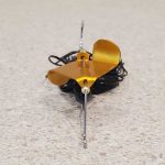 Black Baby Buzzbait Gold Blade Front View