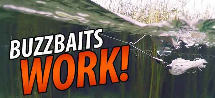 Midsummer Bassing is when the bass are aggressive, and anglers can choose between lots of different lure options. Still, the most efficient method is usually a steady retrieve approach. Smaller -sized offerings are usually best