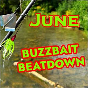 Baby Buzzbait™ Midsummer Bassing begins after the hot weather has set in; bass fishing can be fantastic.