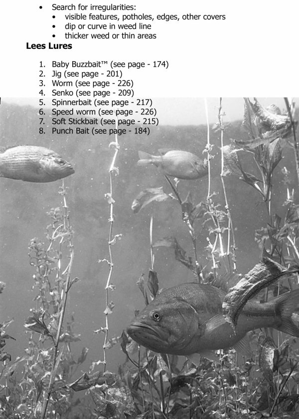 Strategies For Bass Lees Lures by Lee Bailey Jr. Fresh Water Fishing Hall of Famer. Detailed information about Lees Lures chosen for the topic in my book.