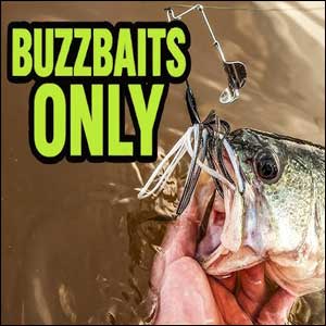 Early Spring Buzzbaits are an opportune time to fish a buzzbait. Buzzbaits Only all season.
