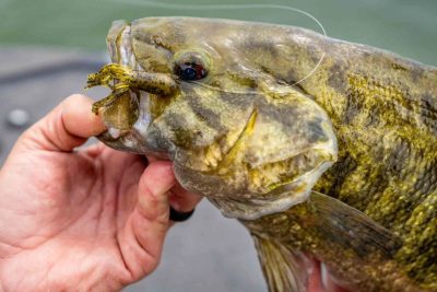 As we all know, rivers are great places to catch bass. The bass will winter in the deepest and steepest portion of the river and move to the shallower flat areas to spawn. As we all know, rivers are great places to catch bass.