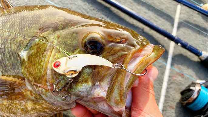 Binsky Blade by Fish Sense Lures. The perfect blade for ice out fishing