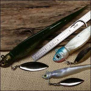 Underspins For Summertime Bass are an excellent choice for active, schooling largemouths in deep water