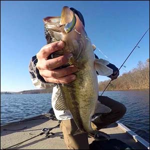 Early winter bass fall victim to the Binsky from Fall thru early spring