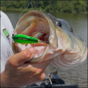 Cold Water Secrets by Lee Bailey Jr