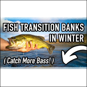 Winter Transition Bass can be caught before the flowers bud, and the birds begin to nest. Historically speaking, it is one of the best times for a true trophy bass.