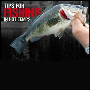Summer Bass Fishing targets shaded, oxygen-rich waters